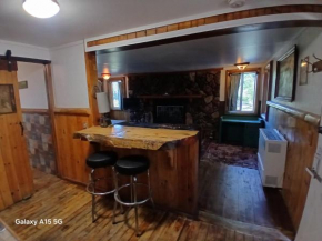 Big Bear Lake - Tulip Lane Cabin #21 Big Bear Lake